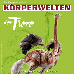 KÖRPERWELTEN der Tiere